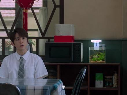 #天才基本法 他们俩太甜了吧,磕到了 #林朝夕 #裴之