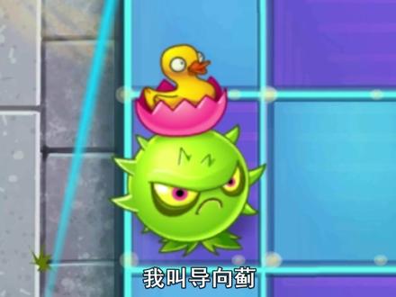 导向蓟的进化之路,摔跤狂:这是植物干的事?
