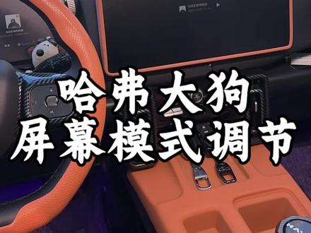 哈弗大狗车机屏幕和导航屏幕亮度调节模式和黑夜,白天模式包括熄屏模式,可以根据行驶的路况去随意调节提升驾驶安全#哈弗大狗2026款 #每天一个用车知识