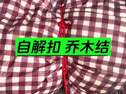 古人流传下来的乔木结