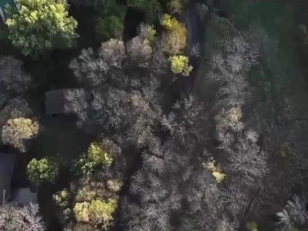 习近平与外国友人的故事|邦尼街2911号里的友谊