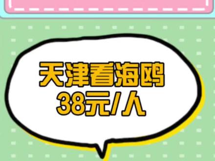 天津看海鸥38,廊坊,永清,文安,霸州,胜芳,固安,大城,都可以报名#天津看海鸥 #天津旅游 #廊坊旅行社 #廊坊旅游团 #廊坊一日游