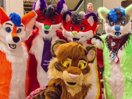 福瑞控最出圈的梗!它的作者却被逼到退网……… #福瑞 #福瑞控 #furry #兽圈 #小傻猫