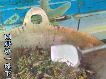 龙眼鸡美食有多少人吃过 #创作灵感 #我的乡村生活 #一般人不知道是什么 #原生态美食 #舌尖上的味道 @DOU+小助手