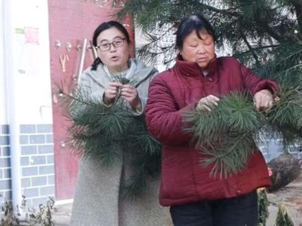 很多人不知道随处可见的松针可是宝摘些回去炒成松针茶喝 #我的乡村生活 #乡村守护人 #抖音新农人 #新农人计划2025 #农村生活 @抖音小助手