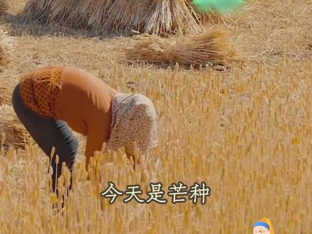 小学生必背常识,二十四节气之#芒种 #家长收藏孩子受益