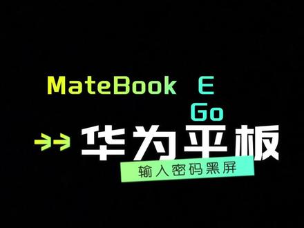 华为MateBook E Go 2023款 输入锁屏密码后,大约30秒就进入黑屏状态 !