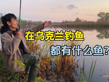 乌克兰老丈人不甘心空军,又带我去钓鱼了,初尝狗鱼的味道,真好吃#海外生活 #记录真实生活 #钓鱼才是抖音运动顶流