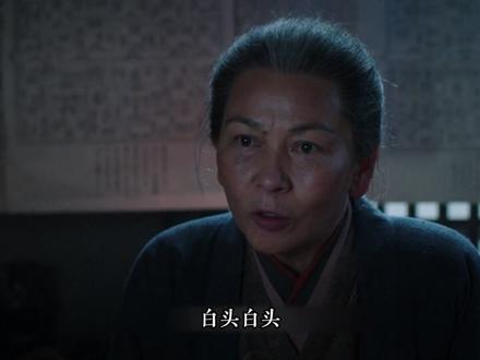 谢淮安身份再次暴露,可他手里还有一张王牌 #长安二十四计 #看长安二十四计就像坐过山车