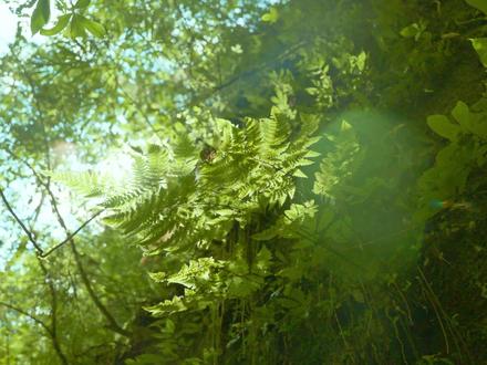 宣传片《聆听中南》| 了解一所大学,不只是读她的历史,走过她的校园,更要学会听懂她的声音。 #中南大学 #迎新季 #开学第一课