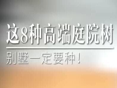 院子种什么树,代表主人的什么样的审美和福气。选对了,你家别墅院子不仅有层次,还特别有生活温度。今天分享8种我常给业主推荐庭院树,它们好看,更能悄悄滋养家的能量,尤其适合南方地区!
1.罗汉松:沉稳有底气,种在中轴线或入户处,行家一看就懂主人的格局。
2.金桂:秋日满院温柔香,种在窗前或转角,贵气自然来。
3.石榴树:果实饱满色彩喜庆,象征家越住越团圆,种在前院很有烟火气。
4.紫薇:花期长、造型灵,种在小路两侧,像迎着好运走进家门。
5.红枫:秋日颜值担当,一棵就能撑起整个院子的气场。
6.棕榈树:线条利落,适合大院子做隔断,还能化解“直冲”问题。
7.竹子:轻盈通透,种在水边或墙根,自带一种藏而不露的松弛感。
8.枇杷树:常绿果香,种在南向后院,摘果喝茶,治愈又日常。
装修时我们在乎“好看”,住久了才发现:是这些植物,默默撑起了生活的安稳与温度。
#苏州别墅设计 #全案设计 #苏州别墅装修 #别墅景观设计 #别墅花园设计施工