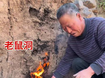 刚种完地把耗子窝给堵上 #剪映
