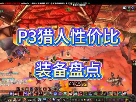 透过WCL大数据 盘点猎人性价比装备 #魔兽世界时光服