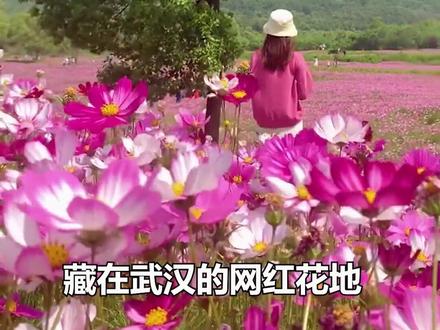 “五一dou 来武汉”,网友们这样秀!#勒才是武汉