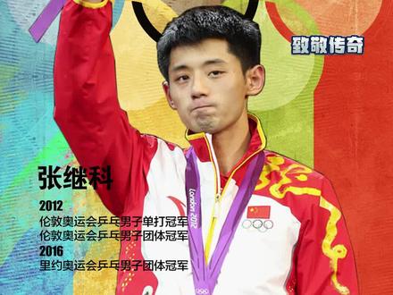 国乒“藏獒”血性十足,张继科445天达成最快大满贯#乒乓球 #奥运会 #夺冠2021