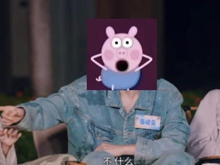 #抖音小助手dou上热门 张峻豪:完了 这波废了#奇文 #物料