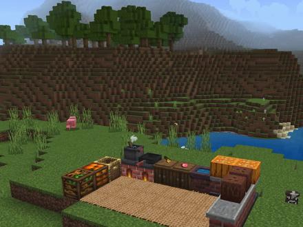 #我的世界 #我的世界生存 #我的世界农夫乐事