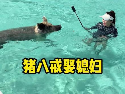 下辈子能不能在这儿当头小猪#潮酷运动看铁豆 #旅行