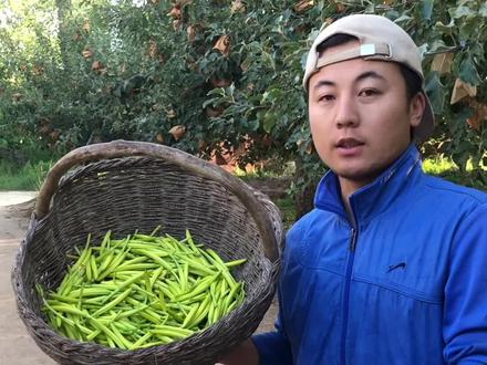甘肃庆阳黄花菜的种植采摘晾晒全过程,这就是当地的习惯。#我为家乡农产品代言 #乡村守护人 ##支持三农扶持三农发展