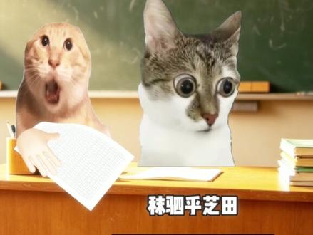 假如《洛神赋》是你写的高考作文 #猫meme #高考作文 #洛神赋 #猫meme日常#青年创作者成长计划