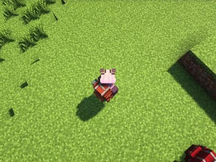 这个背包能装下整个世界!
#我的世界 #MINECRAFT #MOD