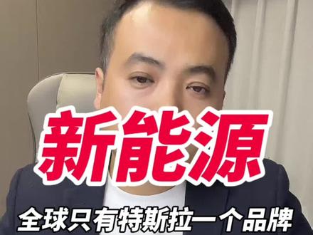 新能源全球只有一个特斯拉! #老谭喷车