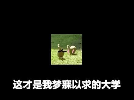 好家伙,这座大学脱单率百分百 #都市天际线 #单机游戏 #大椿的日常