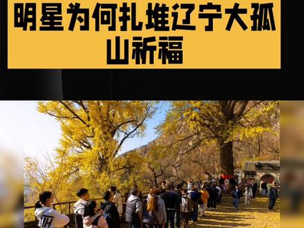 明星为何扎堆辽宁大孤山祈福