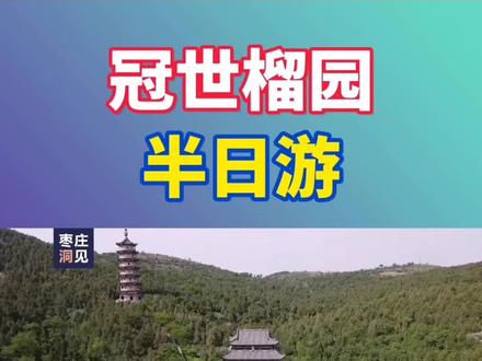 冠世榴园风景区位于山东省枣庄市峄城区,是4A级景区,其中的青檀寺景点古木葱郁、人文荟萃,是鲁南苏北一带不错的休闲圣地,石榴树、青檀树都很有特点!#已经开始期待 #跟着抖音去旅行 #相爱的人一起去山东这吧 #美好就在不远处 #美好值得期待 #同城热点 #冠世榴园 #山东生活日记