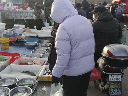 距北京3环30分钟水库鱼市场,野生甲鱼黑鱼2块,鲤鱼15一条 距北京3环30分钟水库鱼市场,野生甲鱼黑鱼2块一斤,两条大鲤鱼30#家常菜教程 #水库鱼 #野生鱼 #北京水库鱼市场