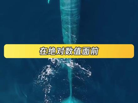 蓝鲸:在强的机制都不如纯数值的美 #蓝鲸 #冷知识 #科普 #海洋动物