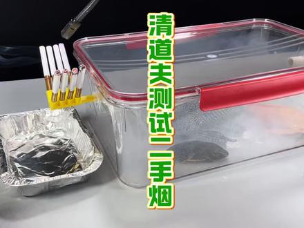 清道夫测试二手烟的危害 #瓜子二手车 #清道夫 #二手烟 #戒烟
