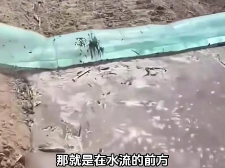 只需一个塑料袋,就能让干旱的农田喝到饱