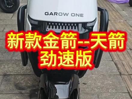 新款金箭--天箭劲速版#电动车 #阳逻金箭电动车 #电动车颜值天花板 #同城优先推荐视频上热门 #抖音小助手dou上热门