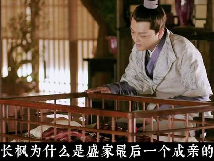 【知否杂谈】长枫为什么是盛家最后一个结婚的 #知否知否应是绿肥红瘦 #知否 #长枫 #长柏 #墨兰