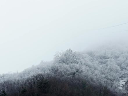 我最近使用最多的镜头——腾龙2875 F2.8 G2 二代 #雪景写真 #摄影日常