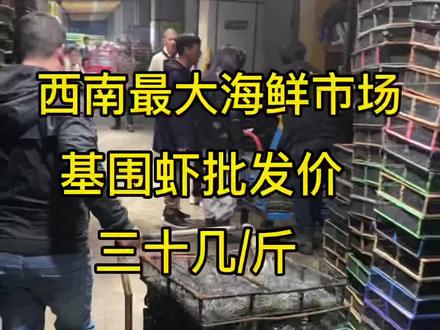 一分钟带你了解成都海鲜批发市场基围虾的批发行情#基围虾 #基围虾批发 #成都海鲜批发市场 #四川海鲜批发
