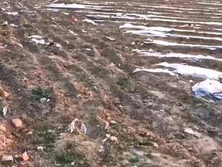 全网都在说520,520究竟是什么日子?其实它从来不是收一束鲜花、一份那么简单。它是朝夕相处过后,爱人发自内心的认可,是明目张胆的偏爱,是藏在日常里的深爱,是时时刻刻的惦记,是满心满眼的在意,是义无反顾的重视,是不离不弃的陪伴,是历经岁月依旧不变的真心。
真正的爱意从不在表面排场,而是漫长岁月里的包容体谅,是遇事并肩的笃定依靠,是懂你的心酸难处,疼你的疲惫辛苦。世间再好的礼物,都比不上一份真心相待。被人放在心上,事事惦记,句句走心,这份踏实安稳的偏爱,才是@520最珍贵的意义。#乡村田野#治愈系风景
