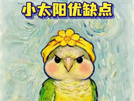 小太阳鹦鹉的优缺点显而易见么!#鹦鹉 #小太阳鹦鹉 #手养小太阳 #训鸟高手 #鹦鹉饲养知识