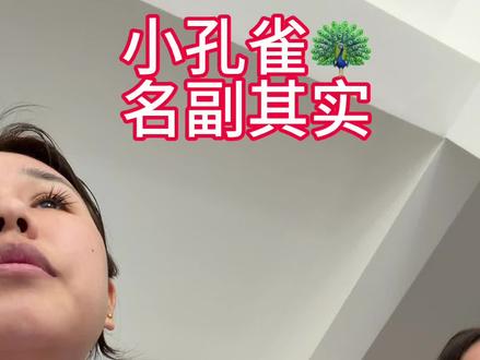小孔雀🦚 名副其实 就发 就发