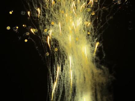 扶摇直上 黄金许愿树#黄金许愿树 #每一帧都是热爱 #银洋城市烟花