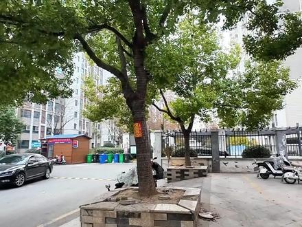 邳州市阿尔卡迪亚文承苑物业测评#物业测评 #阿尔卡迪亚 #文承苑