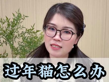 过年回家,猫咪独自留守怎么办? #过年 #猫咪留守 #春节 #猫咪独自在家