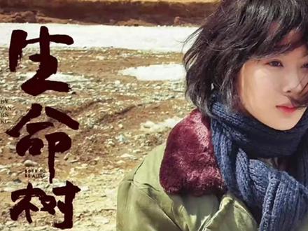 相亲届最严厉的菊长 #好剧推荐扎措老韩失意录 17年苦苦寻找#生命树 #影视解说 #杨紫