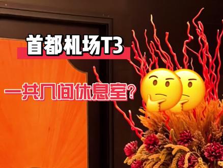 首都机场T3航站楼一共有几间贵宾休息室?