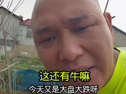 今天股市为什么大跌,这股市还有救嘛?#股票 #股民 #股民交流 #上证指数走势分析