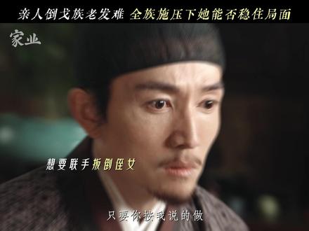 多方联手发难,四面受敌 #李祯 该如何破局 #家业 #杨紫