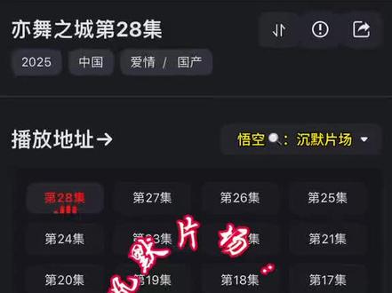 亦舞之城来了 25-28 点映大结局