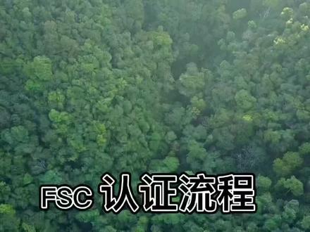 讲解一下关于fsc认证流程,有需要fsc认证的随时联系我,联系电话:13738443164#验厂辅导#fsc森林认证 #科普