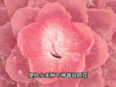 小夭身世原是大魔头赤宸之女#长相思 #杨紫长相思 #小夭母亲